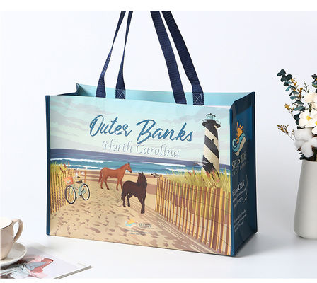 Borsa non tessuta laminata eco-friendly di medie dimensioni per boutique di shopping personalizzato