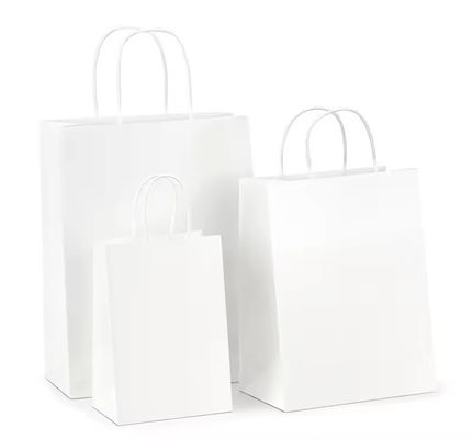 Borsa regalo per lo shopping con logo stampato e OEM/ODM accettato