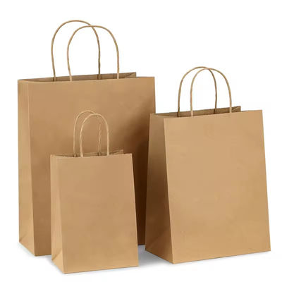 Borsa regalo per lo shopping con logo stampato e OEM/ODM accettato