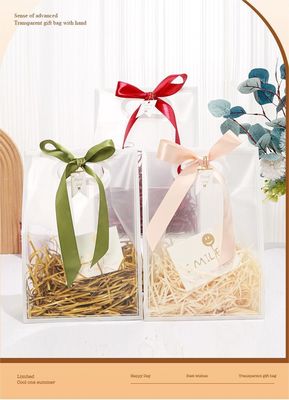 Medio 30-50cm Colorato su misura Pvc trasparente sacchetto da bagno con logo Zipper Pvc beach hand bag
