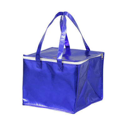 Acceptabile OEM/ODM Nuova borsa di plastica isolante riutilizzabile alla moda per la consegna di alimentari