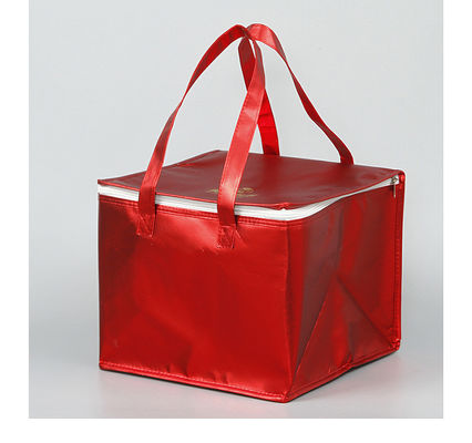 Acceptabile OEM/ODM Nuova borsa di plastica isolante riutilizzabile alla moda per la consegna di alimentari